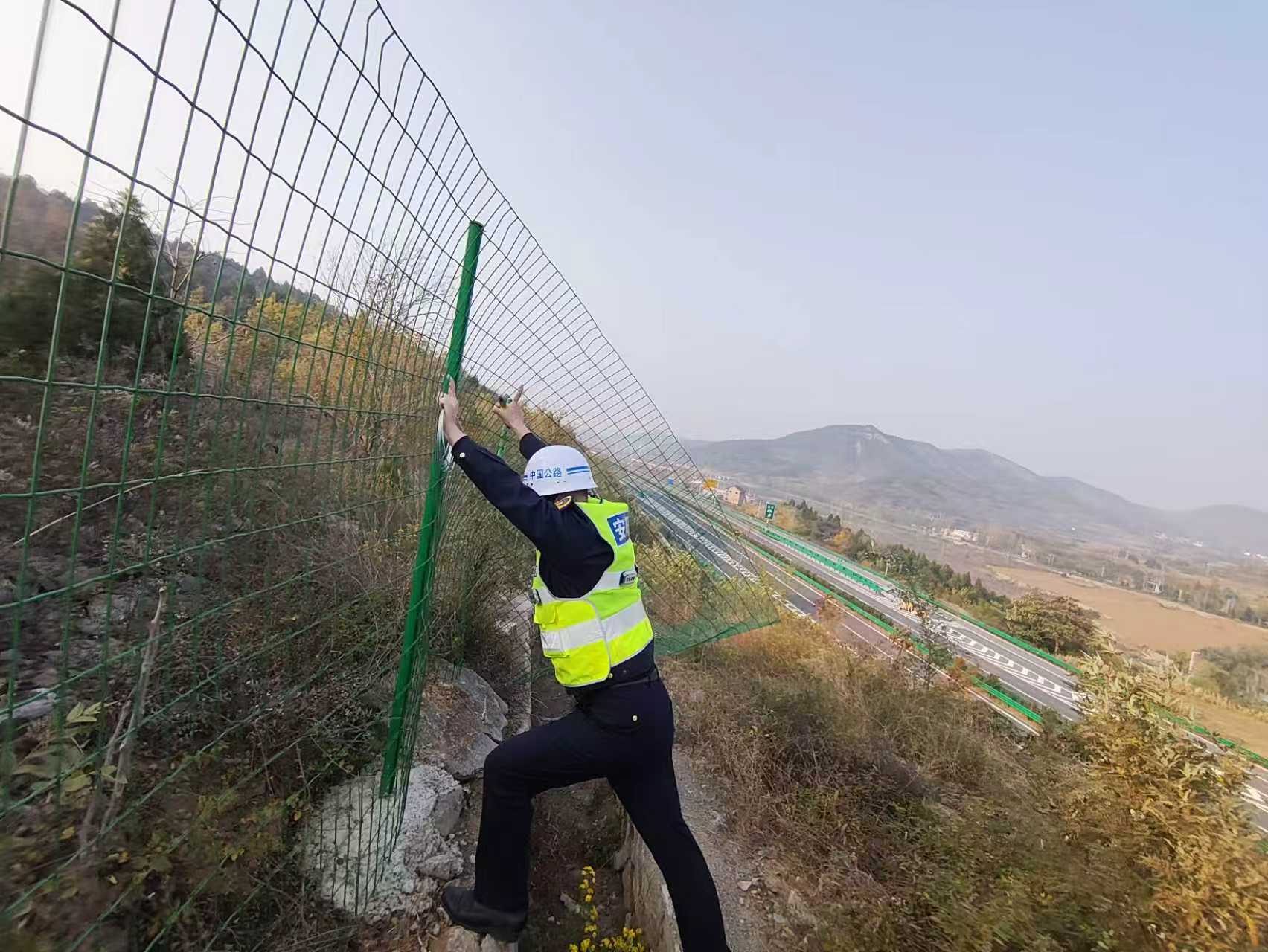 1764317595168.jpg 1764317595168.jpg